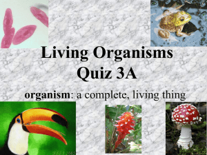 Living Organisms Quiz 3A organism