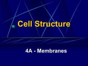 Cell Structure 4A - Membranes