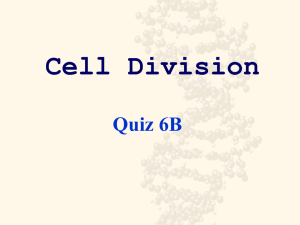Cell Division Quiz 6B