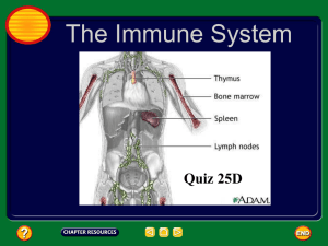 The Immune System Quiz 25D