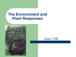 The Environment and Plant Responses Quiz 13B