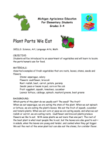 Plant Parts We Eat Michigan Agriscience Education For Elementary Students