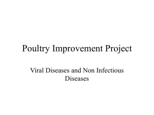 Poultry Improvement Project Viral Diseases and Non Infectious Diseases