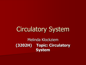 Circulatory System Melinda Klockziem (3202H) Topic: Circulatory System