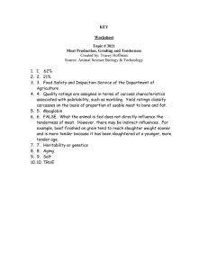 KEY Worksheet Topic # 3021 Meat Production, Grading and Tenderness