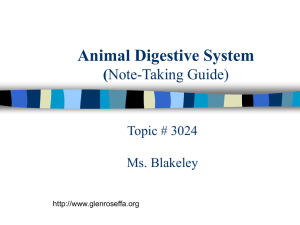 Animal Digestive System ( Topic # 3024 Ms. Blakeley