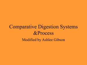 Comparative Digestion Systems &amp;Process Modified by Ashlee Gibson