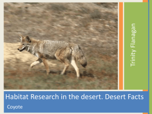 Habitat Research in the desert. Desert Facts an Flanag ty