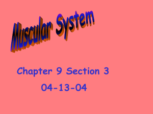Chapter 9 Section 3 04-13-04