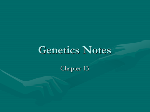 Genetics Notes Chapter 13