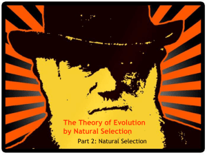 The Theory of Evolution by Natural Selection Part 2: Natural Selection