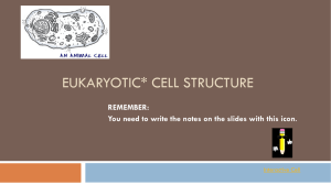 EUKARYOTIC* CELL STRUCTURE REMEMBER: Interactive Cell