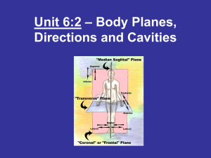 – Body Planes, Unit 6:2 Directions and Cavities