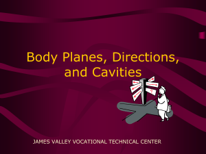 Body Planes, Directions, and Cavities JAMES VALLEY VOCATIONAL TECHNICAL CENTER