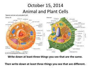 October 15, 2014 Animal and Plant Cells