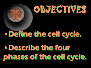OBJECTIVES •Define the cell cycle. •Describe the four phases of the cell cycle.