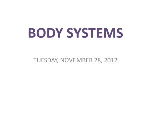 BODY SYSTEMS TUESDAY, NOVEMBER 28, 2012