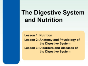 The Digestive System and Nutrition