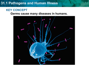 31.1 Pathogens and Human Illness KEY CONCEPT