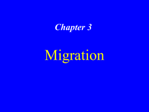 Migration Chapter 3