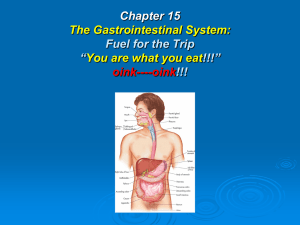 Chapter 15 The Gastrointestinal System: You are what you eat