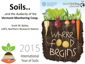 Soils.. Audacity Vermont Monitoring Coop. Scott W. Bailey