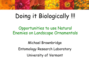 Doing it Biologically !!! Opportunities to use Natural Enemies on Landscape Ornamentals