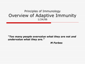 Overview of Adaptive Immunity Principles of Immunology 1/24/06