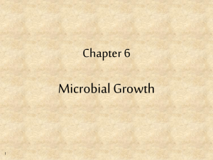 Microbial Growth Chapter 6 1