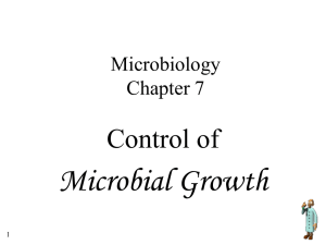 Microbial Growth Control of Microbiology Chapter 7