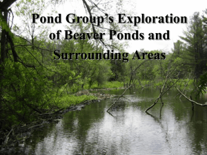 Pond Group’s Exploration of Beaver Ponds and Surrounding Areas
