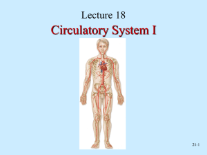 Circulatory System I Lecture 18 21-1