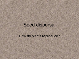 Seed dispersal How do plants reproduce?