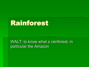 Rainforest WALT: to know what a rainforest, in particular the Amazon