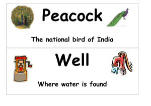 Peacock Well The national bird of India Where water is found