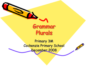 Grammar Plurals Primary 3M Cockenzie Primary School