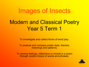 Images of Insects Modern and Classical Poetry Year 5 Term 1