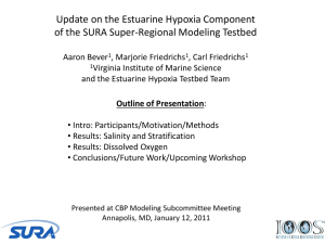 Update on the Estuarine Hypoxia Component