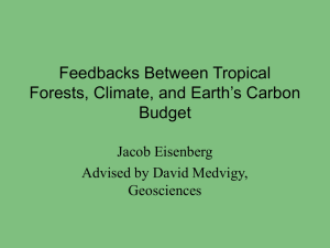 Feedbacks Between Tropical Forests, Climate, and Earth’s Carbon Budget Jacob Eisenberg
