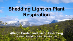 Shedding Light on Plant Respiration Atleigh Forden and Jacob Eisenberg