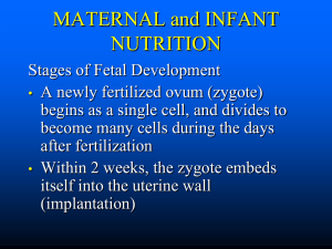 MATERNAL and INFANT NUTRITION