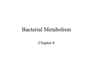 Bacterial Metabolism Chapter 6