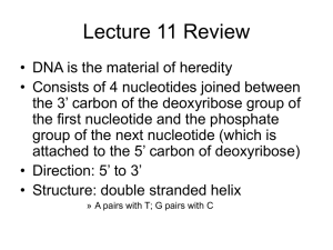 Lecture 11 Review