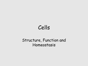 Cells Structure, Function and Homeostasis