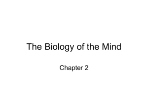The Biology of the Mind Chapter 2