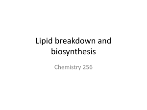 Lipid breakdown and biosynthesis Chemistry 256