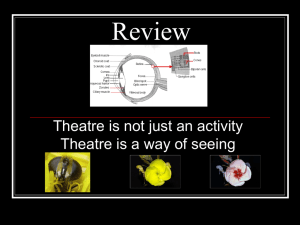Review Theatre is not just an activity