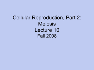 Cellular Reproduction, Part 2: Meiosis Lecture 10 Fall 2008