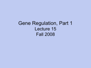 Gene Regulation, Part 1 Lecture 15 Fall 2008