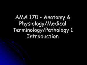 AMA 170 - Anatomy &amp; Physiology/Medical Terminology/Pathology 1 Introduction